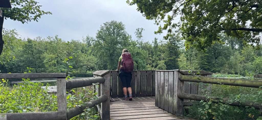 Hohe Mark Steig mit Hund - 4 Tage Wandern: Tipps & Erfahrungen 29 Wandern Haard Hohe Mark Steig
