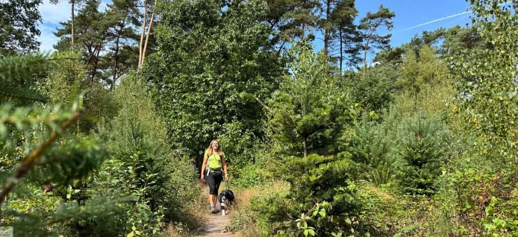 Hohe Mark Steig mit Hund - 4 Tage Wandern: Tipps & Erfahrungen 28 Wandern mit Hund im Ruhrgebiet