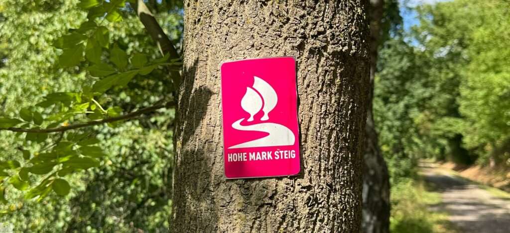 Hohe Mark Steig mit Hund - 4 Tage Wandern: Tipps & Erfahrungen 37 Hohe Mark Steig wandern
