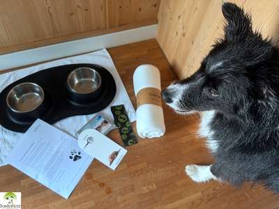 Hohe Mark Steig mit Hund - 4 Tage Wandern: Tipps & Erfahrungen 36 Jammertal mit Hund