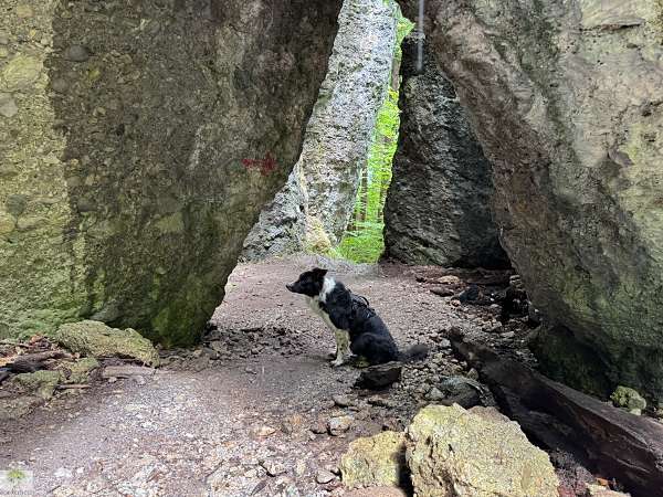 Vorarlberg | Wandern im Brandnertal | Naturwunder Bürser Schlucht 9 Kuhloch Bürser Schlucht Wanderung