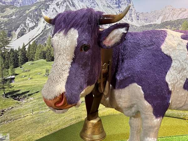 Vorarlberg | Wandern im Brandnertal | Naturwunder Bürser Schlucht 10 Milka Outlet Bludenz
