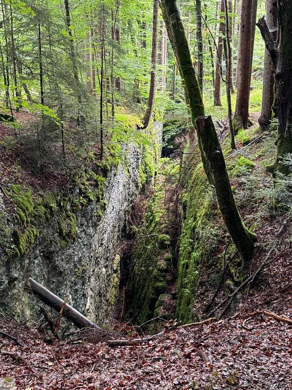 Vorarlberg | Wandern im Brandnertal | Naturwunder Bürser Schlucht 6 Bürser Schlucht Wanderung