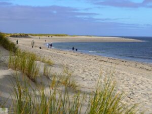 Top 4 Wanderungen auf Sylt - meine Lieblingstouren auf der Insel 12 Strand am Ellenbogen List auf Sylt