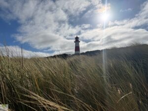Top 4 Wanderungen auf Sylt - meine Lieblingstouren auf der Insel 4 wanderungen auf sylt - Leuchtturm am Ellenbogen
