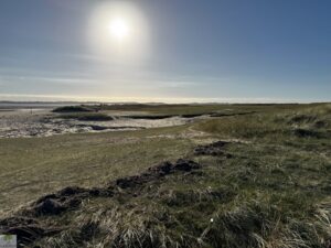 Top 4 Wanderungen auf Sylt - meine Lieblingstouren auf der Insel 3 wanderungen auf sylt dünen und watt am ellenbogen