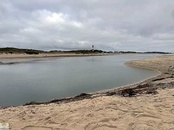 Top 4 Wanderungen auf Sylt - meine Lieblingstouren auf der Insel 15 wanderungen auf sylt hörnim blick auf den leuchtturm