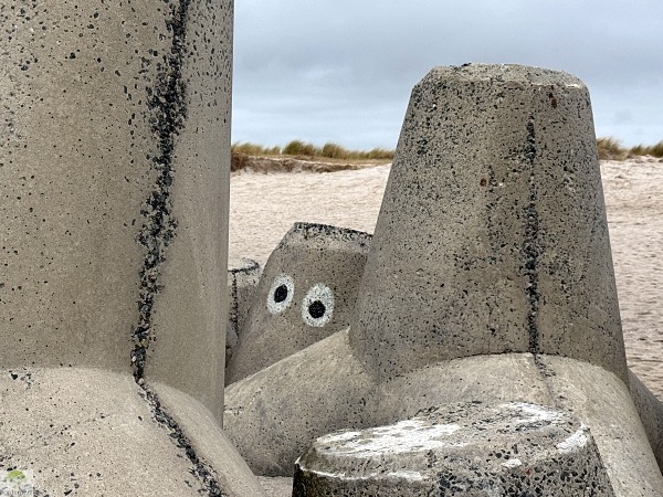 Top 4 Wanderungen auf Sylt - meine Lieblingstouren auf der Insel 18 wanderungen auf sylt tetrapoden hörnum