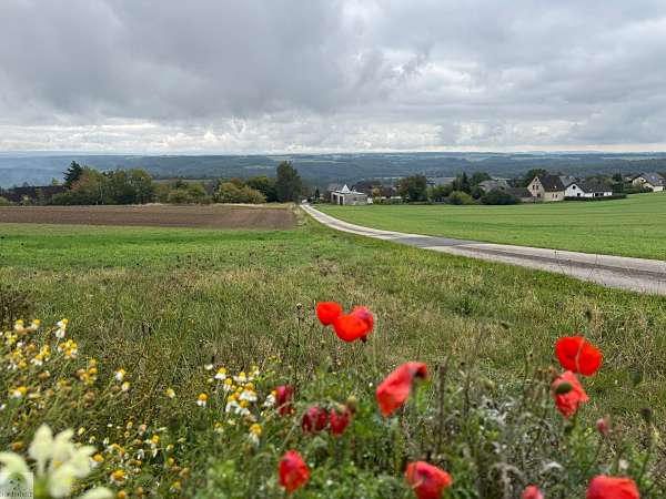 Aktiv unterwegs an der Moselschiefer-Straße - Wandern und Radfahren 34 Moselschiefer-Straße wandern und radfahren Mosel Eifel
