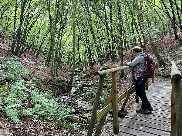 Aktiv unterwegs an der Moselschiefer-Straße - Wandern und Radfahren 37 Moselschiefer-Straße wandern und radfahren Mosel Eifel