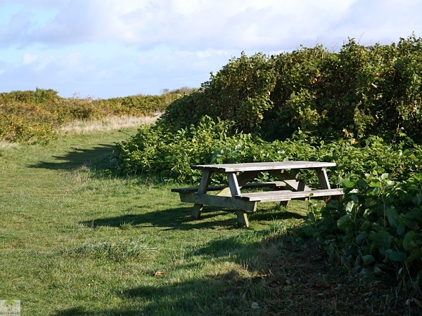 Top 4 Wanderungen auf Sylt - meine Lieblingstouren auf der Insel 29 Rastplatz Morsum mit Picknicktisch
