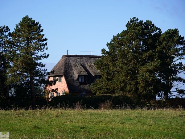 Top 4 Wanderungen auf Sylt - meine Lieblingstouren auf der Insel 30 Reetdachhaus in Morsum Sylt