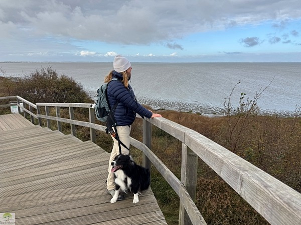 Top 4 Wanderungen auf Sylt - meine Lieblingstouren auf der Insel 22 wanderungen auf sylt aussichtspunkt am morsumer kliff