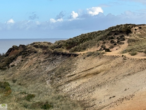 Top 4 Wanderungen auf Sylt - meine Lieblingstouren auf der Insel 24 wanderungen auf sylt morsumer kliff