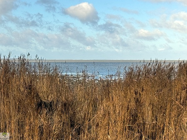 Top 4 Wanderungen auf Sylt - meine Lieblingstouren auf der Insel 26 wanderungen auf sylt wattwanderung morsumer kliff
