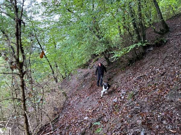Aktiv unterwegs an der Moselschiefer-Straße - Wandern und Radfahren 24 Moselschiefer-Straße wandern und radfahren Mosel Eifel Moselsteig