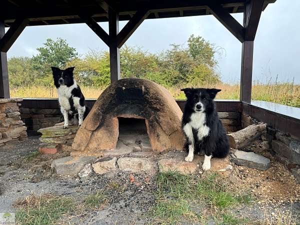 Aktiv unterwegs an der Moselschiefer-Straße - Wandern und Radfahren 26 Moselschiefer-Straße wandern und radfahren Mosel Eifel Moselsteig