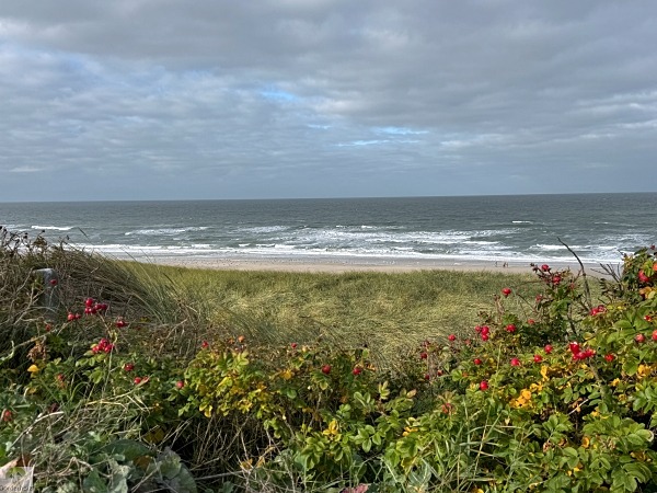 Top 4 Wanderungen auf Sylt - meine Lieblingstouren auf der Insel 40 Rotes Kilff Kampen Kliffweg Dünen