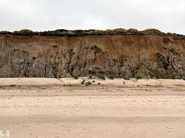 Top 4 Wanderungen auf Sylt - meine Lieblingstouren auf der Insel 35 Rotes Kilff Kampen Kliffweg Strandseite
