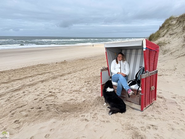 Top 4 Wanderungen auf Sylt - meine Lieblingstouren auf der Insel 38 Rotes Kilff Kampen Kliffweg Strandkorb