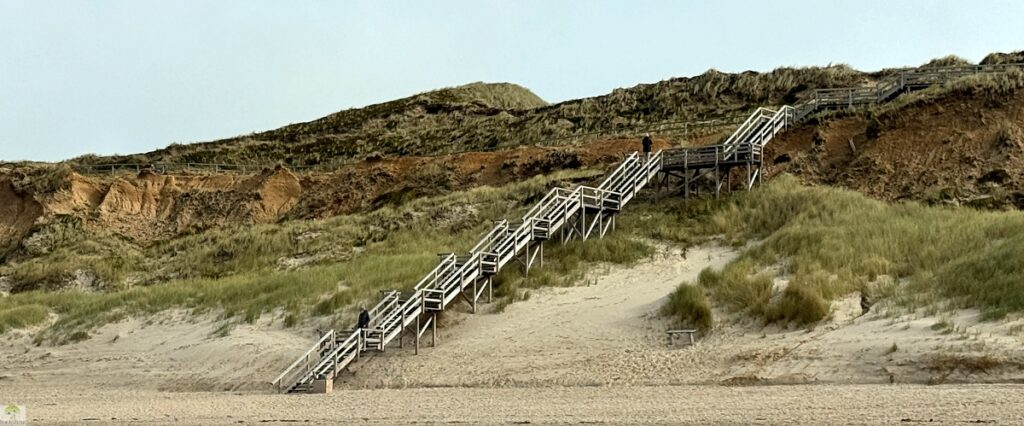 Top 4 Wanderungen auf Sylt - meine Lieblingstouren auf der Insel 31 Rotes Kliff Kampen Sylt Wanderweg Treppen Holzbohlenweg