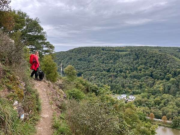 Aktiv unterwegs an der Moselschiefer-Straße - Wandern und Radfahren 7 Moselschiefer-Straße wandern und radfahren Mosel Eifel Traumpfädchen löfer Rabenlaypfad