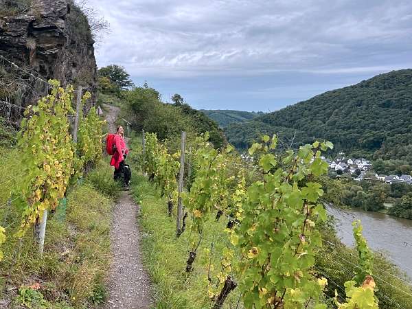 Aktiv unterwegs an der Moselschiefer-Straße - Wandern und Radfahren 6 Moselschiefer-Straße wandern und radfahren Mosel Eifel Traumpfädchen löfer Rabenlaypfad