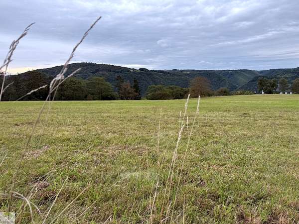 Aktiv unterwegs an der Moselschiefer-Straße - Wandern und Radfahren 4 Moselschiefer-Straße wandern und radfahren Mosel Eifel Traumpfädchen löfer Rabenlaypfad