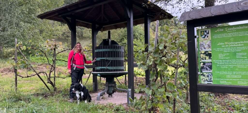 Aktiv unterwegs an der Moselschiefer-Straße - Wandern und Radfahren 2 Moselschiefer-Straße wandern und radfahren Mosel Eifel Traumpfädchen löfer Rabenlaypfad