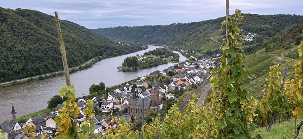 Aktiv unterwegs an der Moselschiefer-Straße - Wandern und Radfahren 5 Moselschiefer-Straße wandern und radfahren Mosel Eifel Traumpfädchen löfer Rabenlaypfad