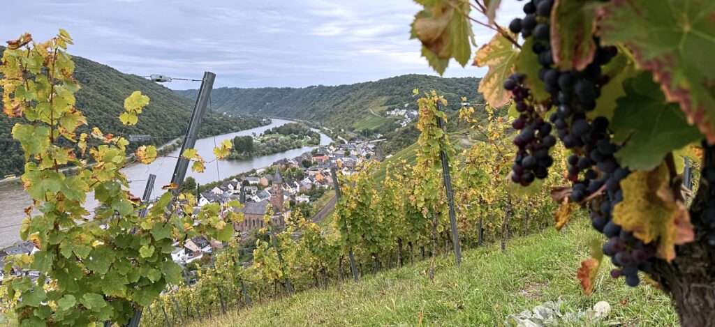 Aktiv unterwegs an der Moselschiefer-Straße - Wandern und Radfahren 1 Moselschiefer-Straße wandern und radfahren Mosel Eifel Traumpfädchen löfer Rabenlaypfad