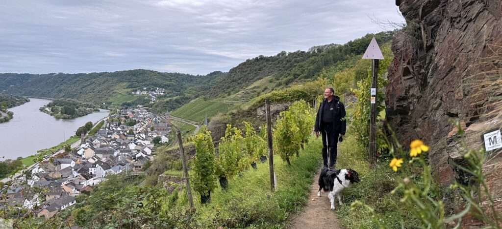 Aktiv unterwegs an der Moselschiefer-Straße - Wandern und Radfahren 8 Moselschiefer-Straße wandern und radfahren Mosel Eifel Traumpfädchen löfer Rabenlaypfad