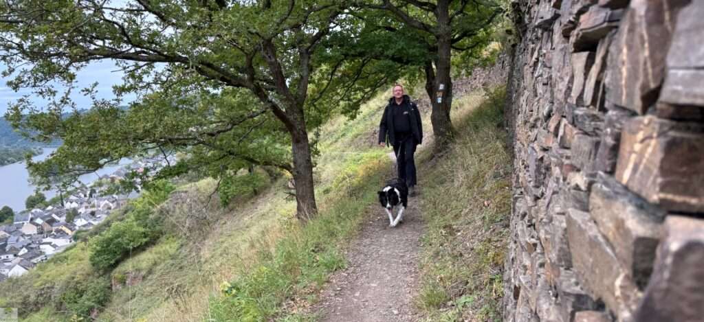 Aktiv unterwegs an der Moselschiefer-Straße - Wandern und Radfahren 11 Moselschiefer-Straße wandern und radfahren Mosel Eifel Traumpfädchen löfer Rabenlaypfad