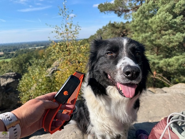 Unsere Erfahrungen mit Weenect, dem GPS-Tracker für Hunde 10 erfahrungen mit weenect xt gps-tracke für hunde