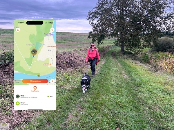 Unsere Erfahrungen mit Weenect, dem GPS-Tracker für Hunde 7 erfahrungen mit weenect xt gps-tracke für hunde