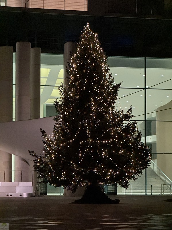 6 traumhafte Weihnachtsmärkte in Berlin und die Top-Sehenswürdigkeiten, die du gleich mit besuchen kannst 11 Weihnachtsbaum des Bundeskanzlers