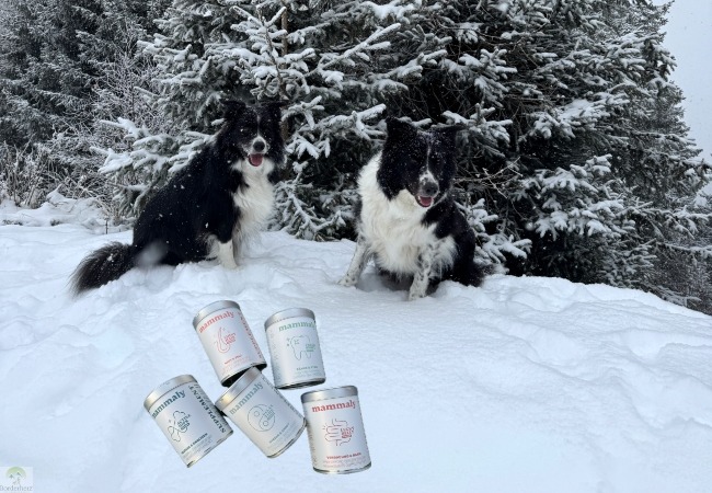 Holly & Riley testen die neuen mammaly Supplement Toppings – Unser Fazit 1 Holly & Riley testen die neuen mammaly Supplement Toppings – Unser Fazit