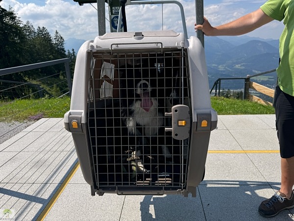 Wandern für die Seele - die 20 schönsten Wanderungen im Kaisergebirge 12 kaiserlift mit hund