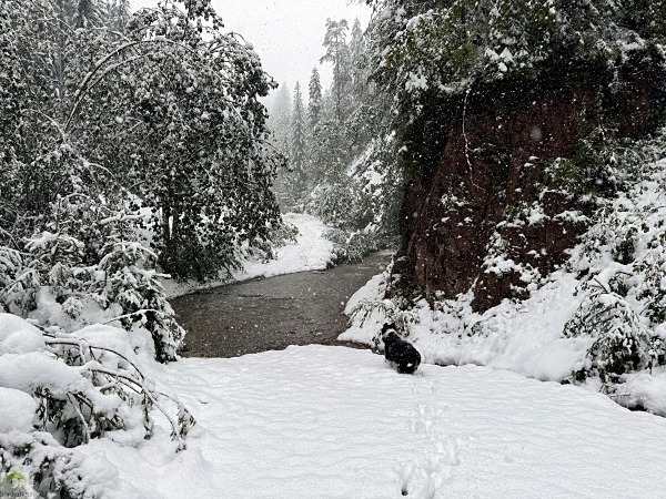 Wandern für die Seele - die 20 schönsten Wanderungen im Kaisergebirge 17 winterwandern wilder kaiser