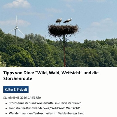 raus in den westen dina knorr tipps