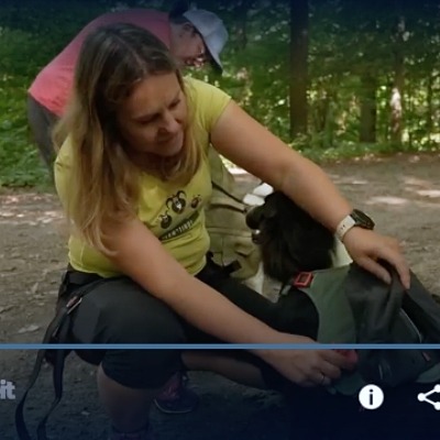 dina knorr tv expertin wandern