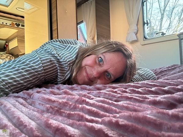 zelesta teddy bed 01