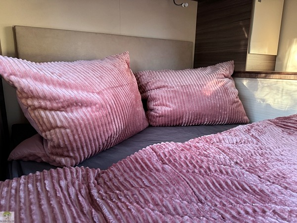 zelesta teddy groovebed test