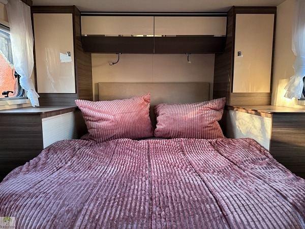 zelesta teddy bed 03