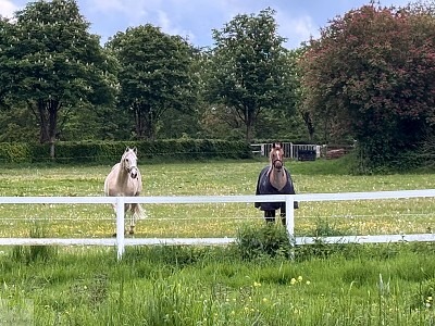 Radfahren mit Hund im radrevier.ruhr | Tourentipps & Thule Hundeanhänger Test 8 Radhren mit Hund im Radrevier Ruhr