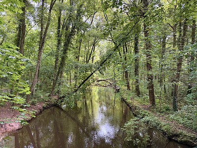 Radfahren mit Hund im radrevier.ruhr | Tourentipps & Thule Hundeanhänger Test 6 radfahren im ruhrgebiet mit hund