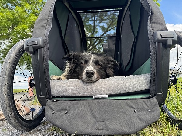Radfahren mit Hund im radrevier.ruhr | Tourentipps & Thule Hundeanhänger Test 19 Thule Fahrradanhänger Test