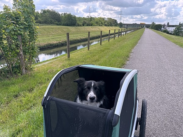 Radfahren mit Hund im radrevier.ruhr | Tourentipps & Thule Hundeanhänger Test 22 Thule Hundeanhänger Test