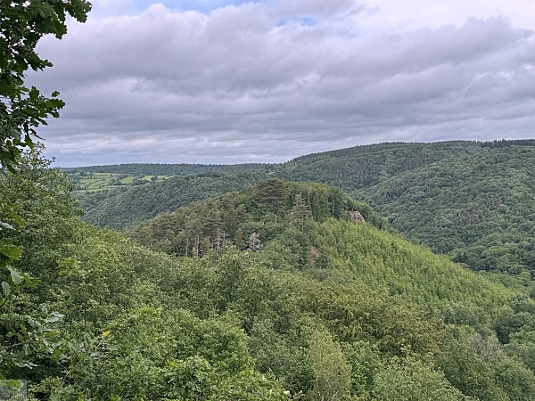 Zwischen Schluchten, Wäldern und historischen Städten: So schön ist die Wallonie 22 Wandern in der Wallonie Ninglinspo Wanderung
