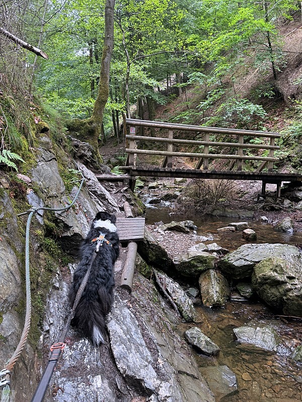 Zwischen Schluchten, Wäldern und historischen Städten: So schön ist die Wallonie 17 Wandern in der Wallonie Ninglinspo Wanderung